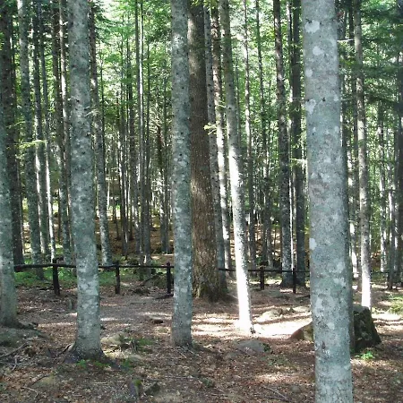 Apartamento Graziosa Casetta A - Montagna Pistoiese Maresca